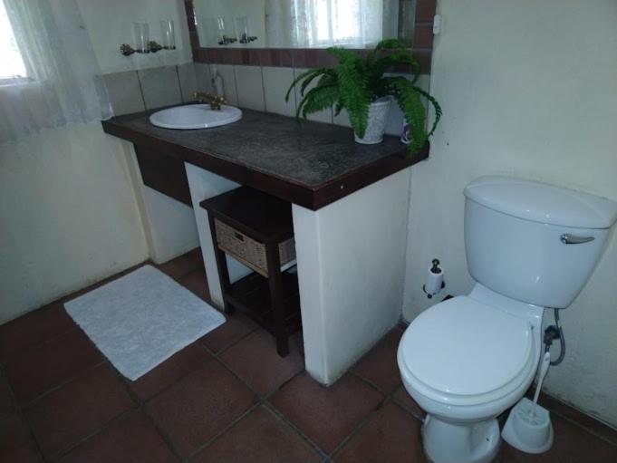 Buona Notte Bed and Breakfast Johannesburg Buitenkant foto