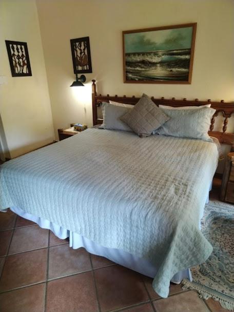 Buona Notte Bed and Breakfast Johannesburg Buitenkant foto